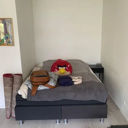 A Cozy Studio In Tampere