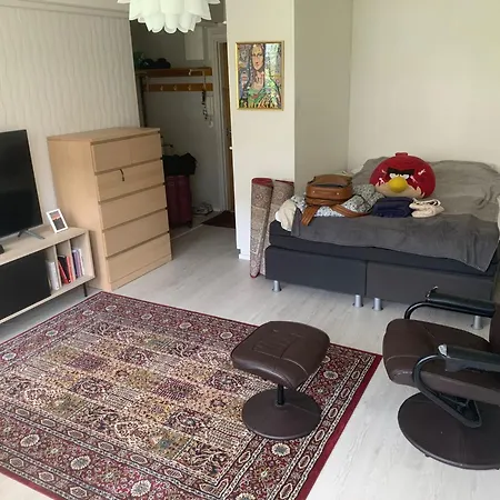 A Cozy Studio In